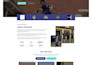 design revamp, update wordpress website landing page or blog website development